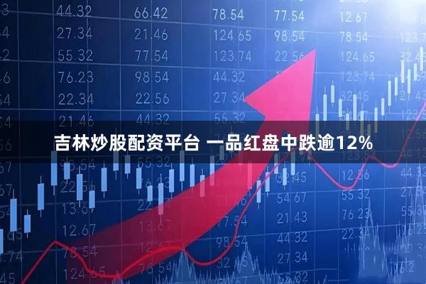 吉林炒股配资平台 一品红盘中跌逾12%