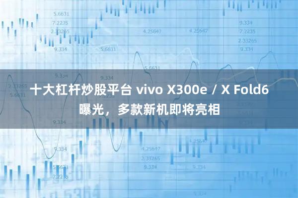 十大杠杆炒股平台 vivo X300e / X Fold6曝光，多款新机即将亮相