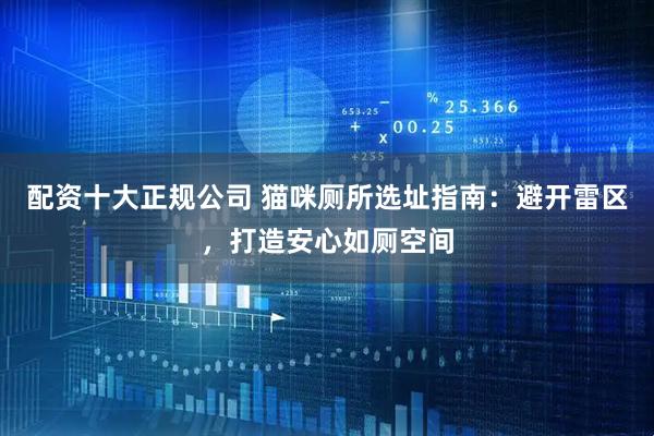 配资十大正规公司 猫咪厕所选址指南：避开雷区，打造安心如厕空间